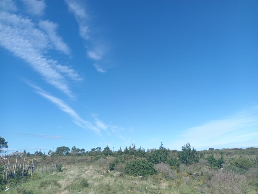 Commercial Property for Sale in Kranshoek AH Western Cape